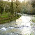 Cuando el río suena