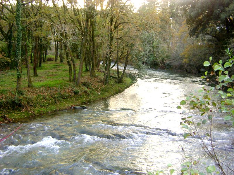 Cuando el río suena