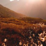 Respiración de fuego