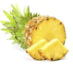 Curso de herbodietética