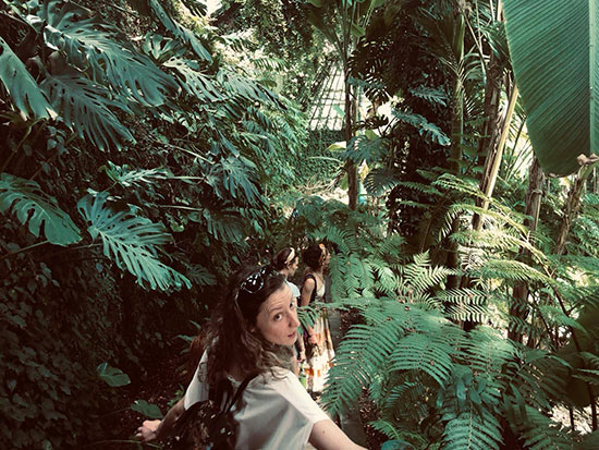 Árbol de la Palma y visita al Jardín Botánico. Fin del Curso de Herbodietética