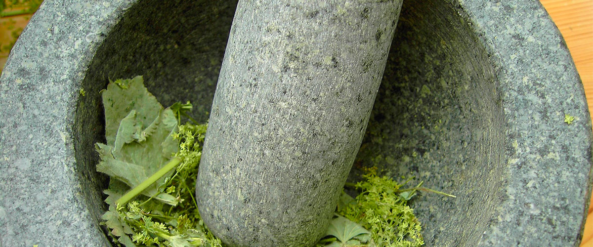 Reino Vegetal Espagiria