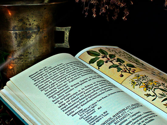 Principios filosóficos del Reino Vegetal según la Espagiria