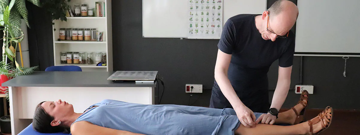 Curso acupuntura avanzada Madrid