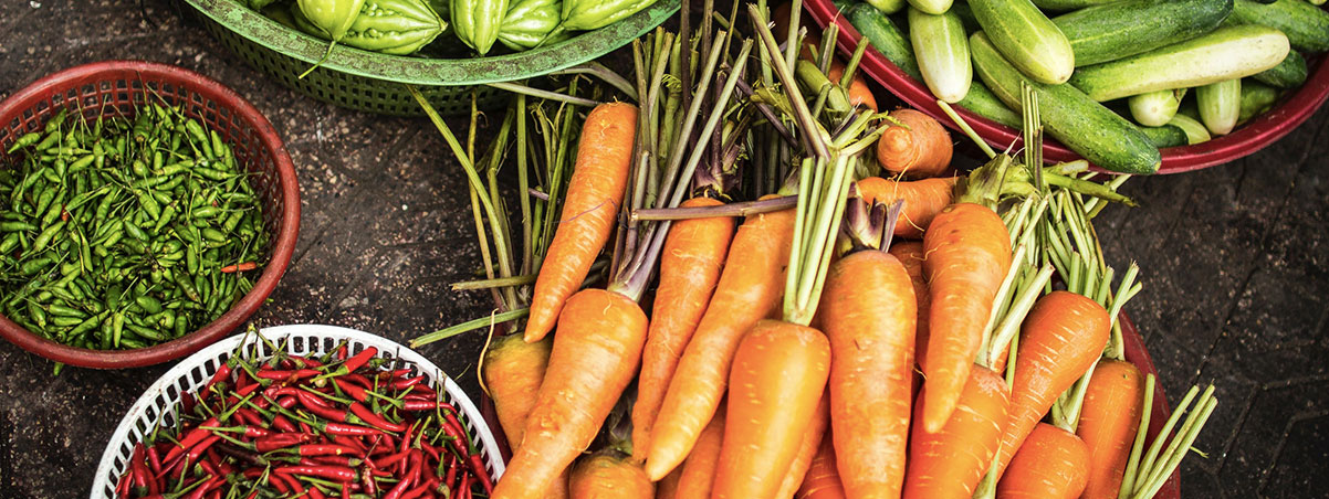 Curso de Herbodietética online