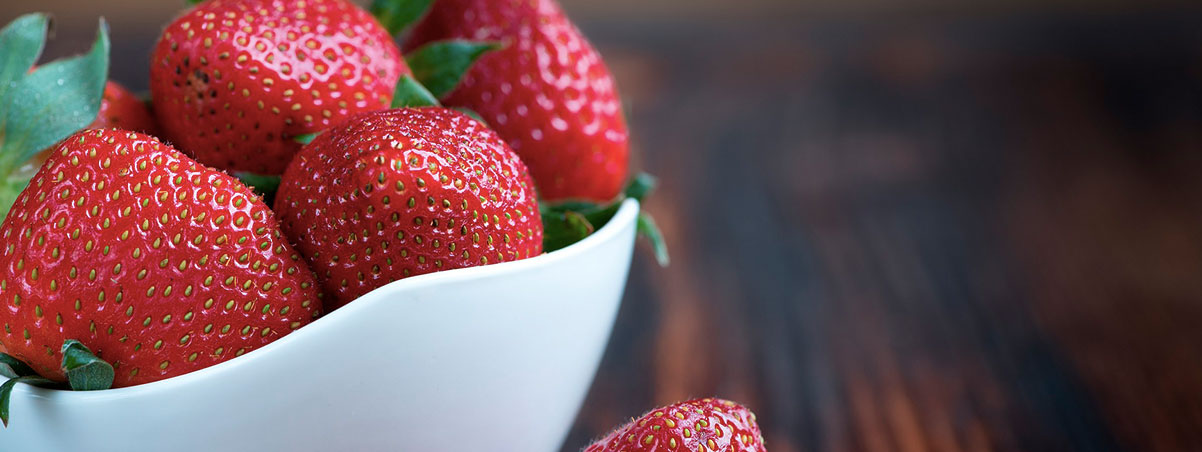 Módulo de macronutrientes online