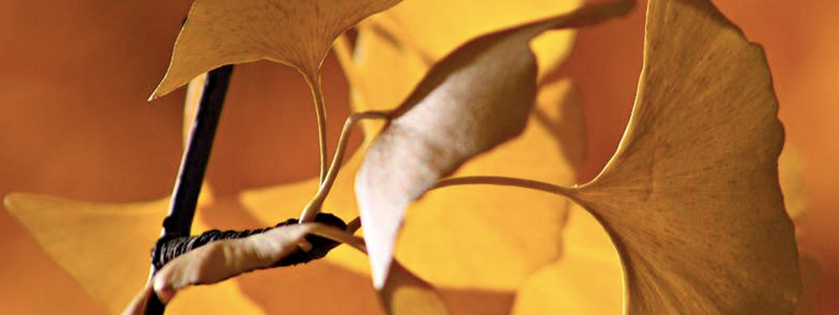 Módulo plantas medicinales aparatos respiratorio y circulatorio online