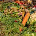 16-octubre-dia-mundial-alimentacion