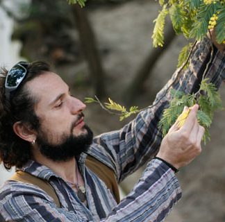 Alquimia Vegetal a distancia