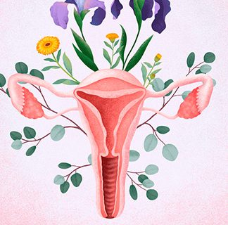 Máster en Salud Hormonal y Ginecología Natural - pago único