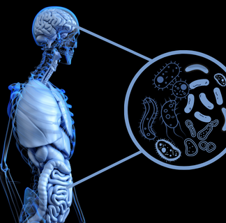 Curso Neuronutrición y Práctica Física