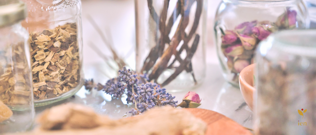 Todo lo que necesitas saber sobre la Naturopatía