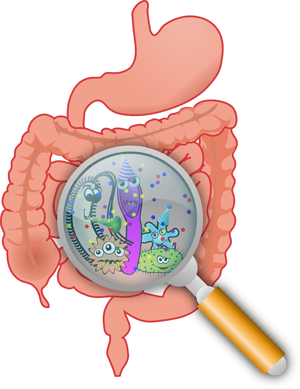 master microbiota