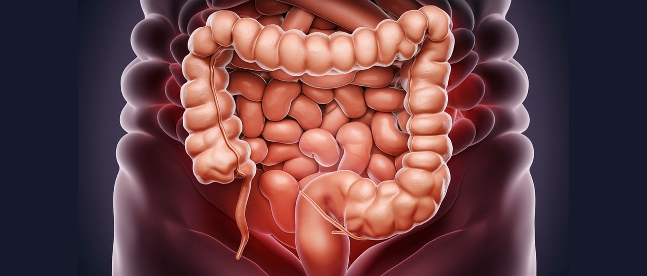 salud digestiva y enfermedades autoinmunes