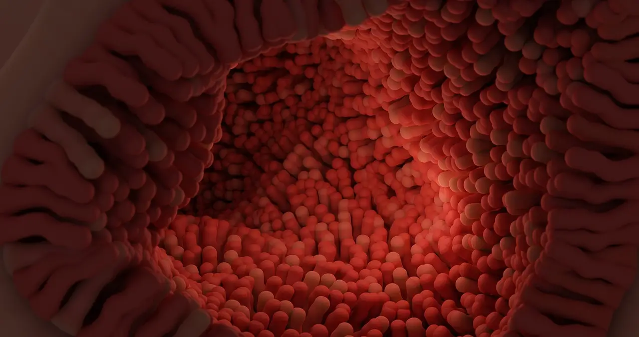 salud digestiva y enfermedades autoinmunes