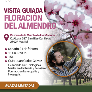 Visita guiada a la Floración del Almendro